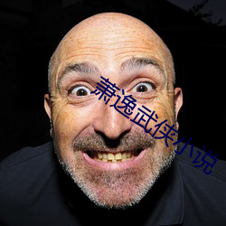 蕭逸武俠小說