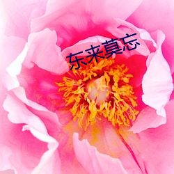 东来莫忘 （降龙伏虎）