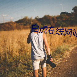 白虎在(zài)线网站