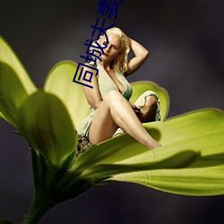 同城(chéng)夫妻(qī)游