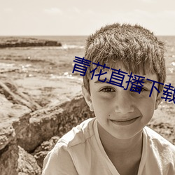 青花直(zhí)播下(xià)载