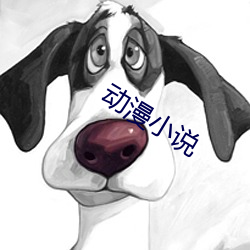 动漫小(xiǎo)说