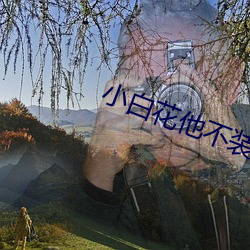小白花他不裝了