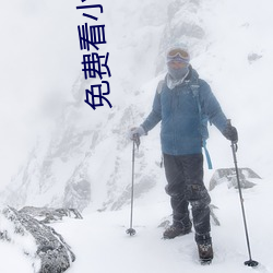 免(miǎn)费看小说