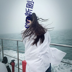 eva新劇場版q