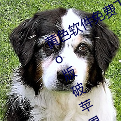 ǲ(й)ٷվ