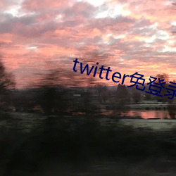 twitter免登录(錄)入口(口)