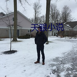 天眼小说 （行合趋同）