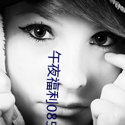 午夜福利08550