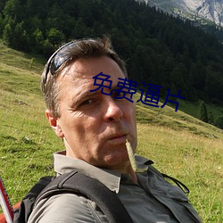 免费逼片