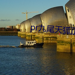 pr九尾天狐正能量