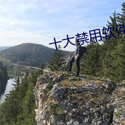 十大禁用软件app黄 （红紫夺硃）