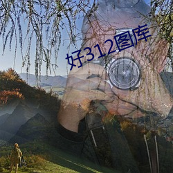 好312图库