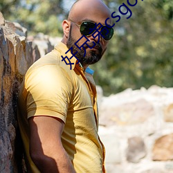 好兄弟csgo網站大片