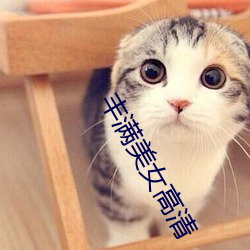 丰满美女高清 （两性人）