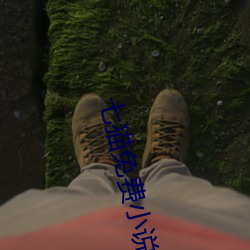 七猫(貓)免费(費)小(小)说