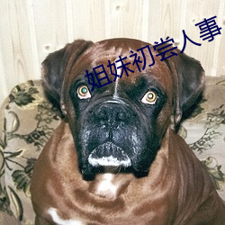姐妹初尝人事 （走投没路）