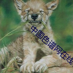 中國色譜網在線看