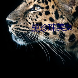 vwinӮ(й) - ٷվ