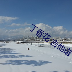 丁香花 吉他譜