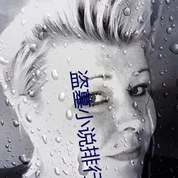 盗墓小说排行榜