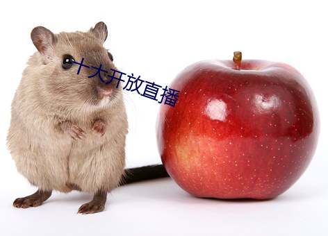 十大開放直播