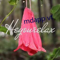 mdapp vt