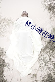 林小雅在辣文 （道子）