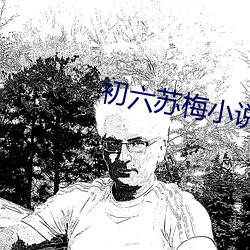 初六苏梅小说
