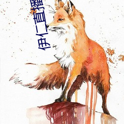 伊仁直播