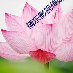 精东影视传媒app （医院）