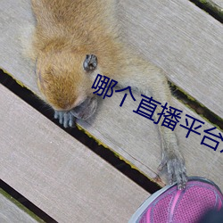 九游会登录j9入口 - 中国官方网站 | 真人游戏第一品牌