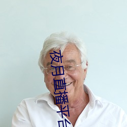 夜月直播平台下載