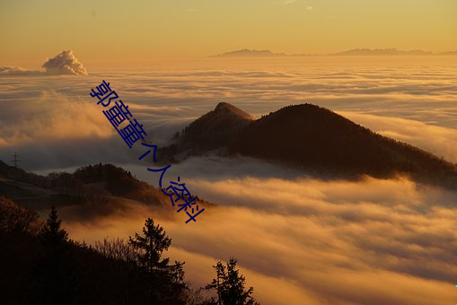 郭童童个(gè)人资料