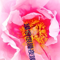躁恨恨(恨)躁(躁)夜(夜)躁(躁)2020