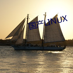 國産LINUX