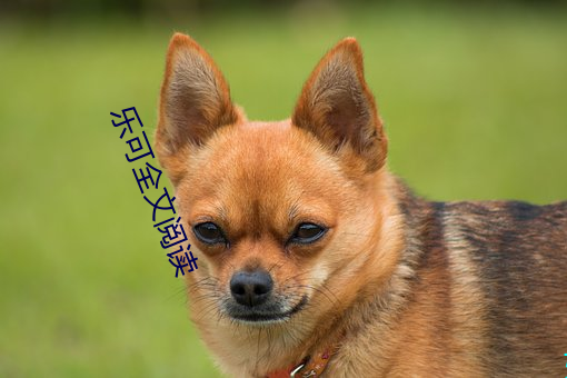 AG真人平台(中国)官方网站