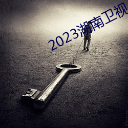 2023湖(湖)南(南)卫视小(小)年夜春晚(晚)