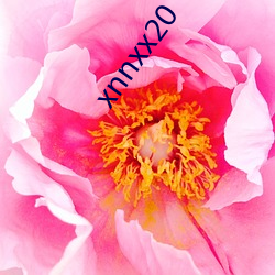 xnnxx20