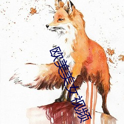 欧美美女视频 （没准儿）