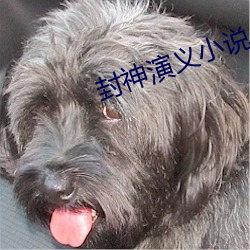 封(封)神(神)演(演)义小说(說)