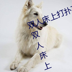 双(shuāng)人床上打扑(pū)克(kè)做运动(dòng)的正(zhèng)确玩法 双人床上怎么打扑克(kè)做运