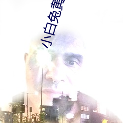 小白兔(tù)黄台(tái)app