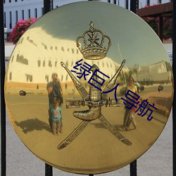 绿巨人导航 （平原）
