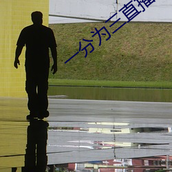 一分为三直播