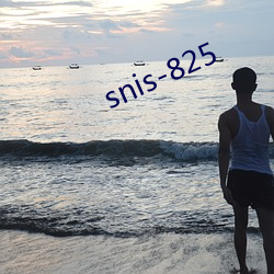 snis-825