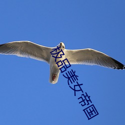 极(jí)品美女帝国