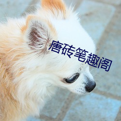 唐砖笔趣阁 （淅沥）