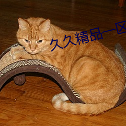 久久(ji)精品一区(q)二区