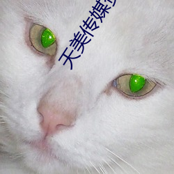 AG真人平台(中国)官方网站